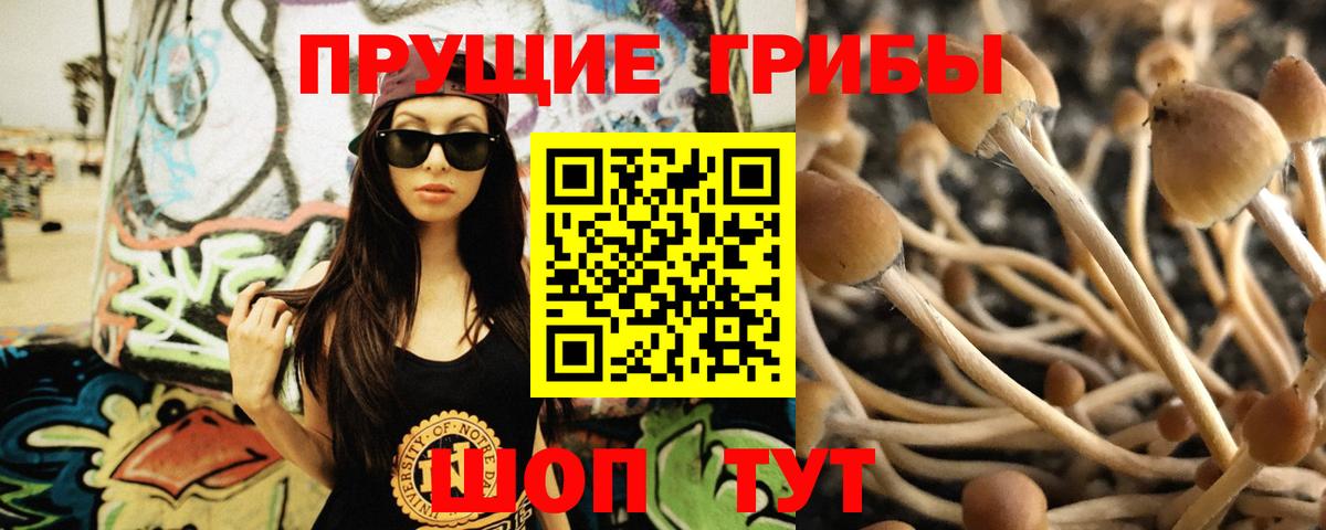 Галлюциногенные грибы мухоморы Владимир